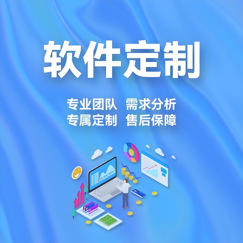 定制软件